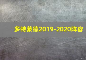 多特蒙德2019-2020阵容