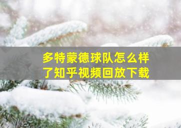 多特蒙德球队怎么样了知乎视频回放下载