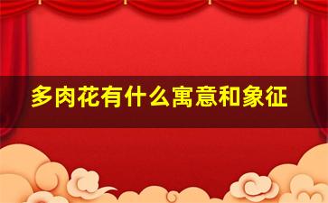 多肉花有什么寓意和象征