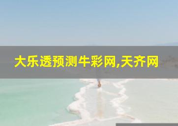 大乐透预测牛彩网,天齐网