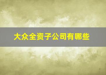 大众全资子公司有哪些