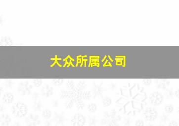 大众所属公司