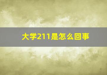 大学211是怎么回事