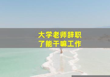 大学老师辞职了能干嘛工作