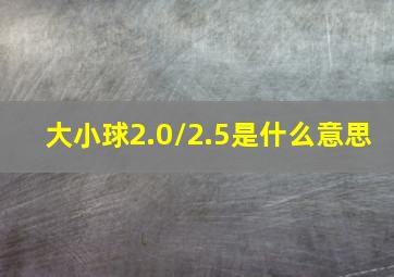 大小球2.0/2.5是什么意思