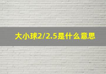 大小球2/2.5是什么意思