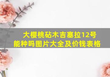 大樱桃砧木吉塞拉12号能种吗图片大全及价钱表格