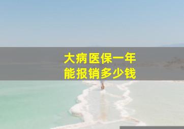 大病医保一年能报销多少钱