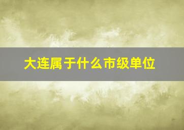 大连属于什么市级单位