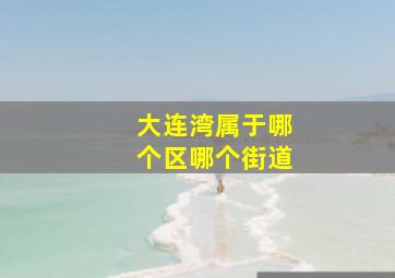 大连湾属于哪个区哪个街道