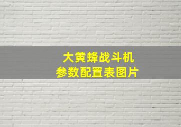 大黄蜂战斗机参数配置表图片