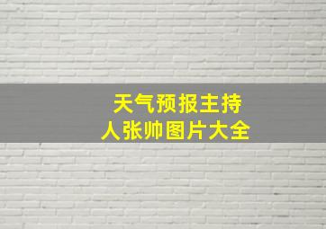 天气预报主持人张帅图片大全