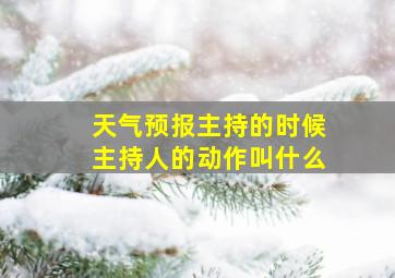 天气预报主持的时候主持人的动作叫什么