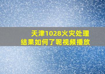 天津1028火灾处理结果如何了呢视频播放