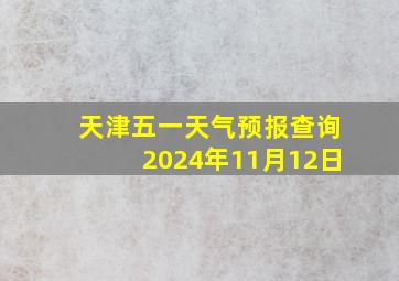 天津五一天气预报查询2024年11月12日