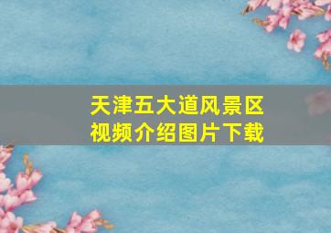 天津五大道风景区视频介绍图片下载