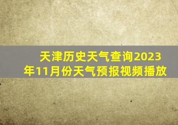 天津历史天气查询2023年11月份天气预报视频播放