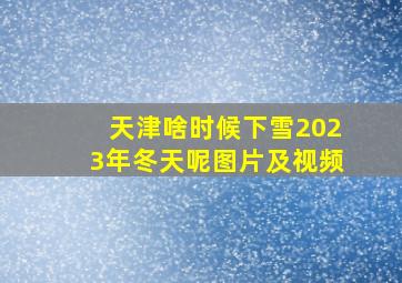 天津啥时候下雪2023年冬天呢图片及视频