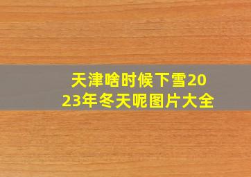 天津啥时候下雪2023年冬天呢图片大全