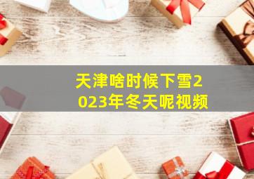 天津啥时候下雪2023年冬天呢视频