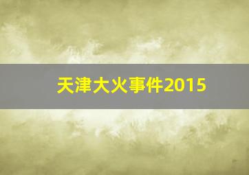 天津大火事件2015