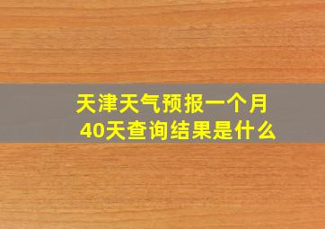 天津天气预报一个月40天查询结果是什么