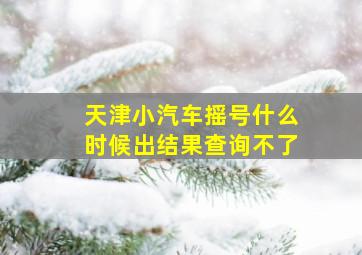 天津小汽车摇号什么时候出结果查询不了