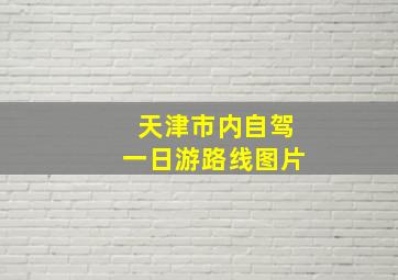 天津市内自驾一日游路线图片