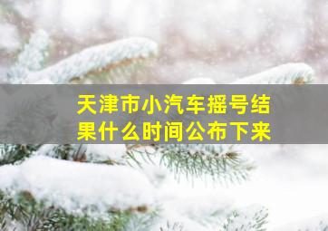 天津市小汽车摇号结果什么时间公布下来