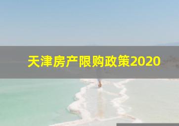 天津房产限购政策2020