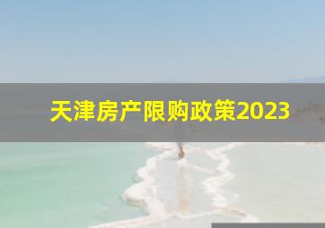 天津房产限购政策2023