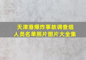 天津港爆炸事故调查组人员名单照片图片大全集