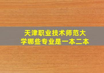 天津职业技术师范大学哪些专业是一本二本