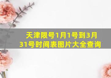 天津限号1月1号到3月31号时间表图片大全查询