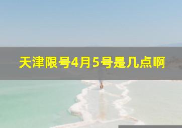 天津限号4月5号是几点啊