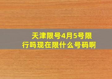 天津限号4月5号限行吗现在限什么号码啊