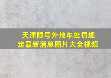 天津限号外地车处罚规定最新消息图片大全视频