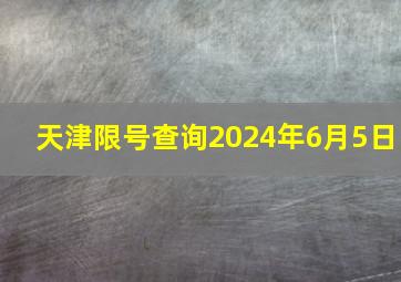 天津限号查询2024年6月5日