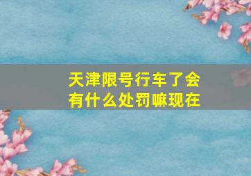 天津限号行车了会有什么处罚嘛现在