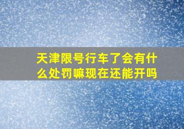 天津限号行车了会有什么处罚嘛现在还能开吗