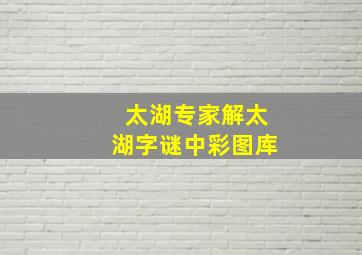 太湖专家解太湖字谜中彩图库