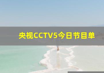 央视CCTV5今日节目单