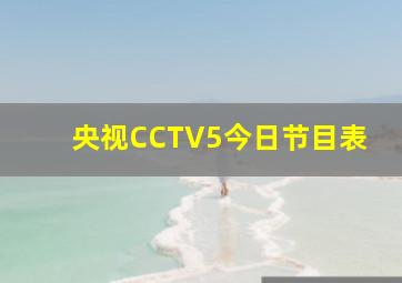 央视CCTV5今日节目表