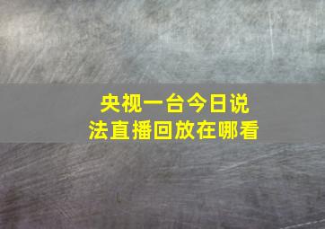 央视一台今日说法直播回放在哪看