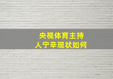 央视体育主持人宁辛现状如何