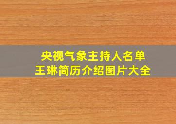 央视气象主持人名单王琳简历介绍图片大全