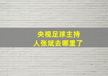 央视足球主持人张斌去哪里了