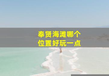 奉贤海滩哪个位置好玩一点