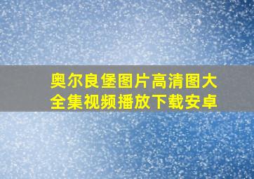 奥尔良堡图片高清图大全集视频播放下载安卓