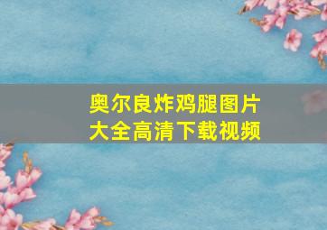 奥尔良炸鸡腿图片大全高清下载视频